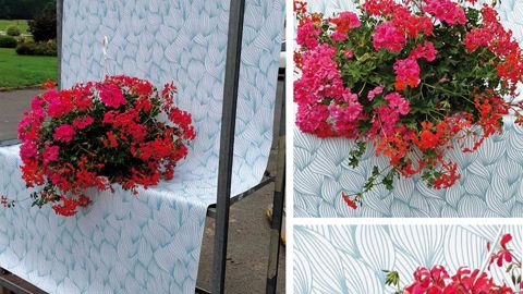 Un studio est vite organisé avec un roll, une jolie bâche de fond, et un smartphone. ©S.Morard